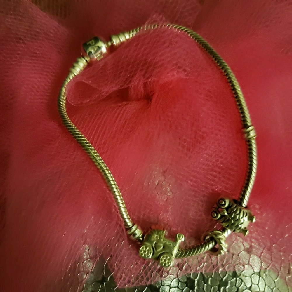 Pandora Bracelet with Charms